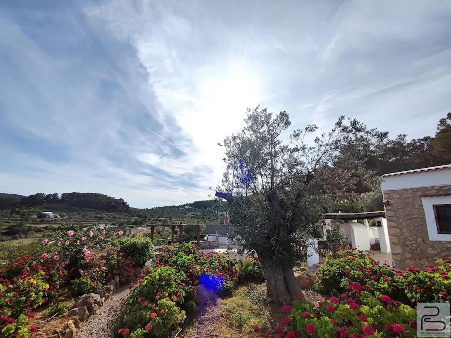Casa Can Lluc Con Piscina, Jardin Y Vista Al Campo 산트 미켈 데 발란사트 외부 사진