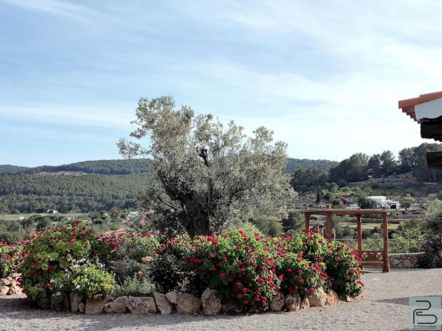 Casa Can Lluc Con Piscina, Jardin Y Vista Al Campo 산트 미켈 데 발란사트 외부 사진